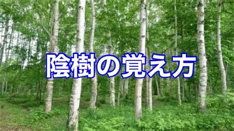 陰樹 種類|陰樹の特徴と陽樹の特徴 違いも解説 – 庭師の独り言